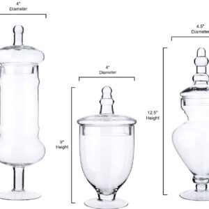 Glass Topiary Jar Set